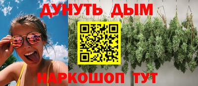 сатива Можга